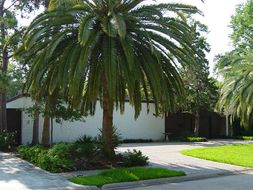 The Architecture of Memorial Bend