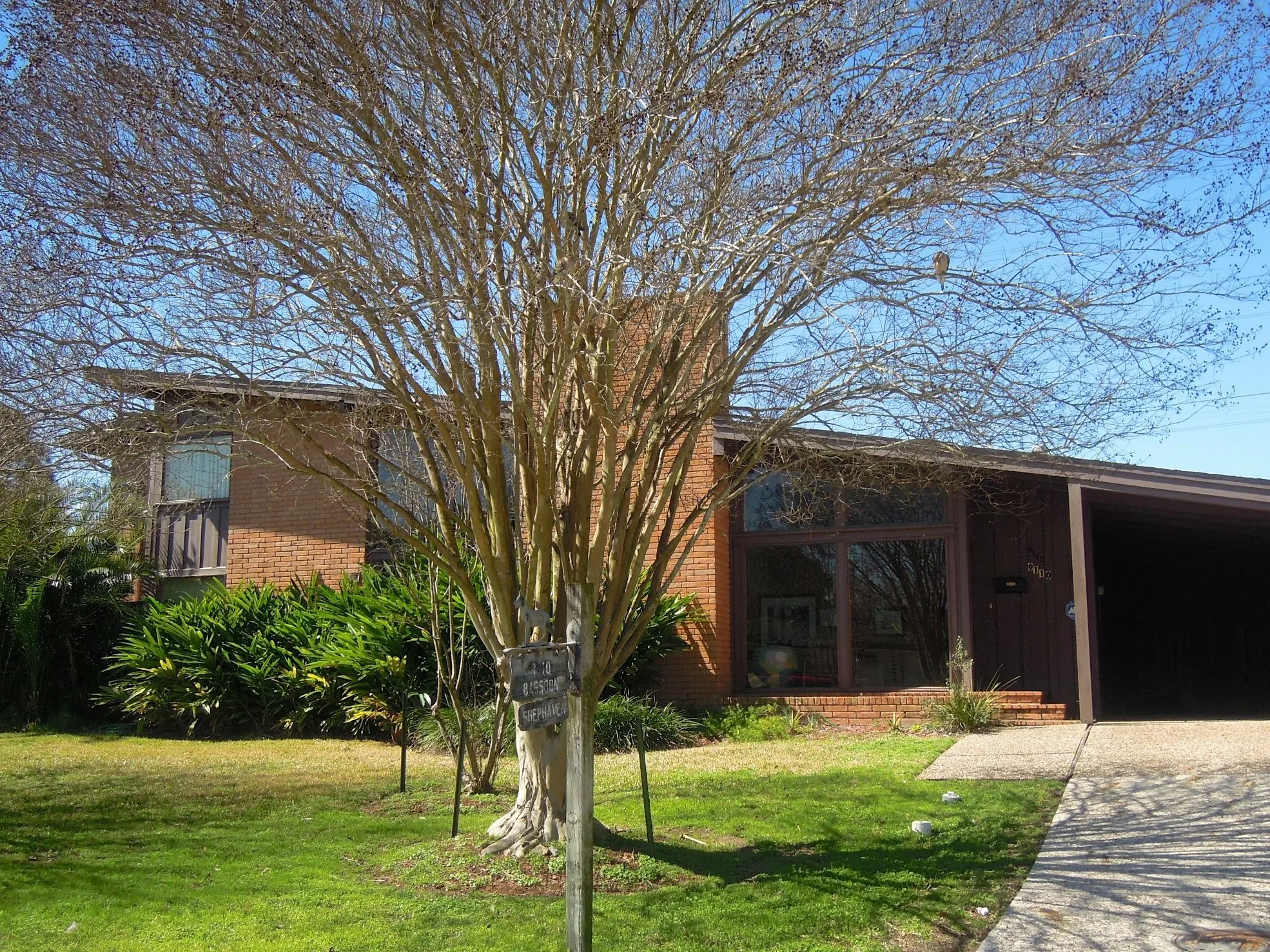 Finkelstein House