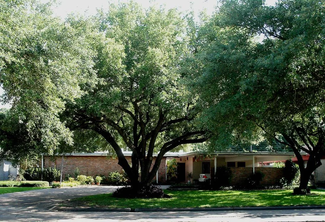 Solomon House