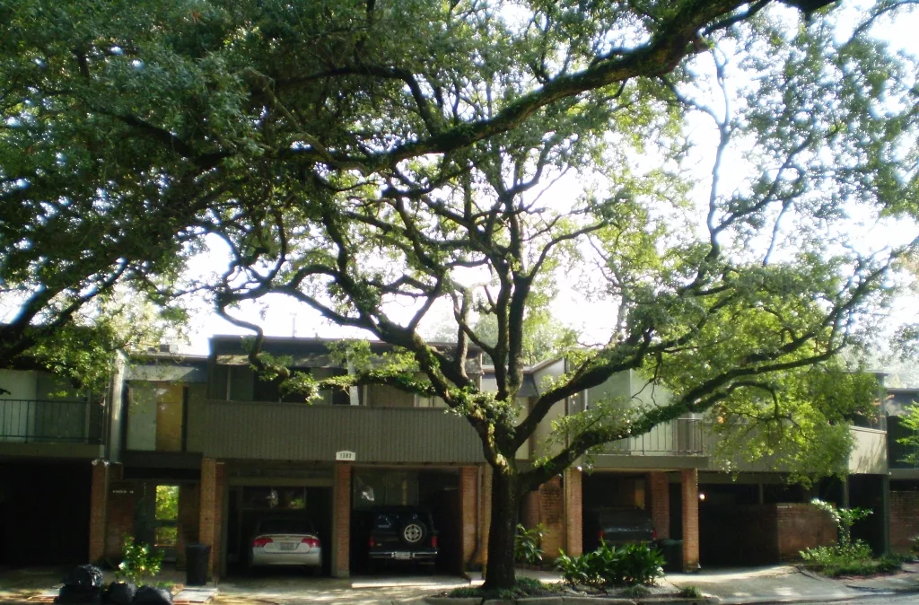 Vassar Place Apartments